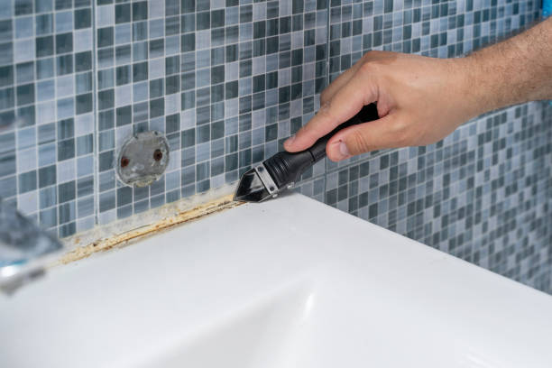 Best Mold Remediation  in Brigham City, UT